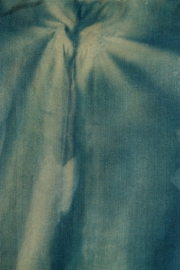 Sarah S. Curley Downward Softly Pigmented Inkjet Print made from Cyanotype on Silk 2015 $300