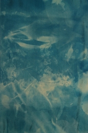 Sarah S. Curley Exploring Beneath Pigmented Inkjet Print made from Cyanotype on Silk 2015 $300