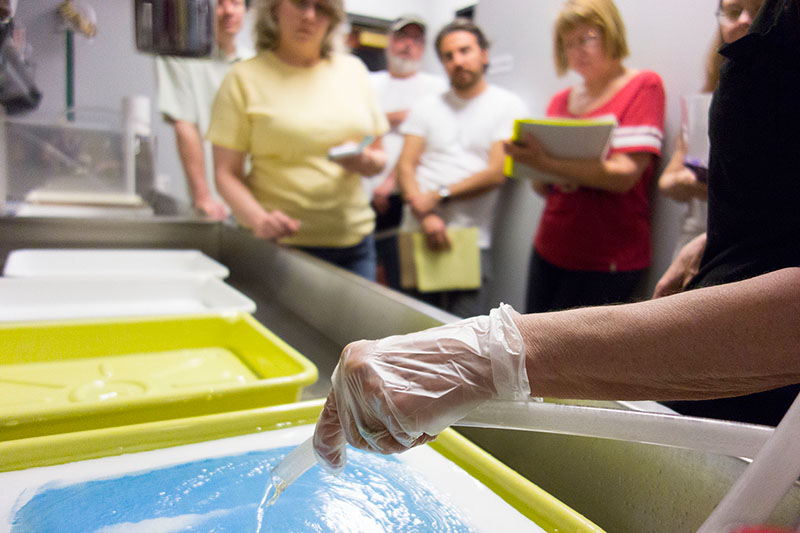 Tri-Color Gum Bichromate – Round 2 | Art Intersection