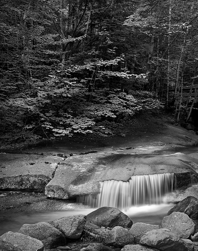 Opus 99: The Photography of Robert Rice | Art Intersection