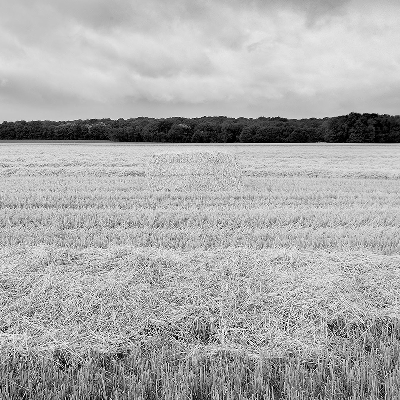 Opus 99: The Photography of Robert Rice | Art Intersection